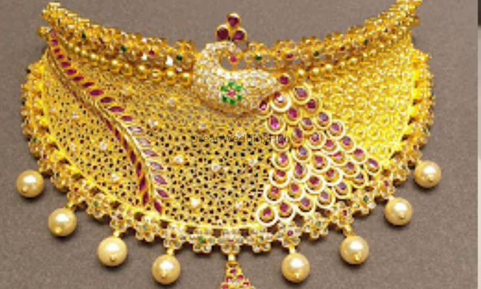 Davanam Jewellerrs